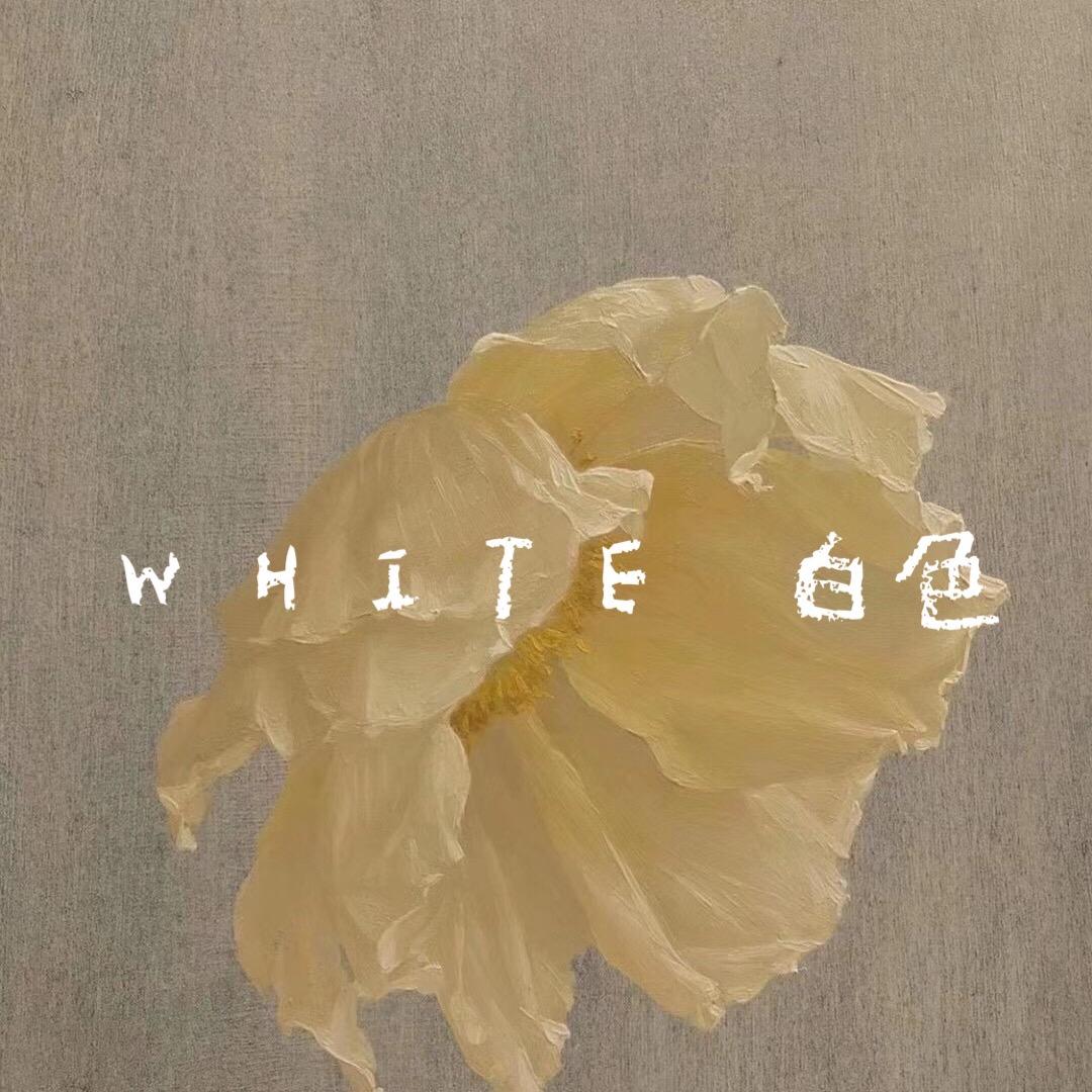 那白家精品买手韩女装(东大门上新中)