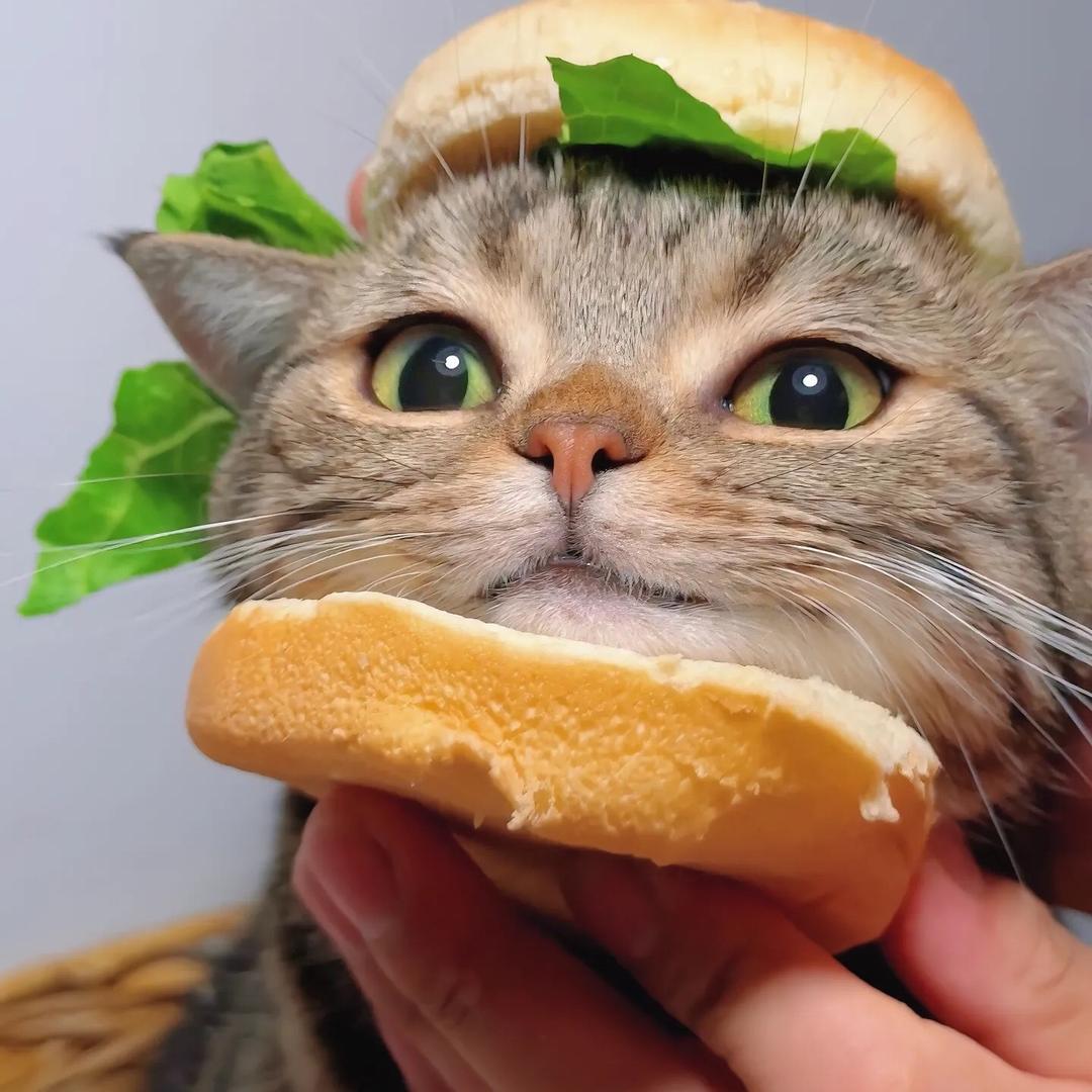 我缺点维生素RMB