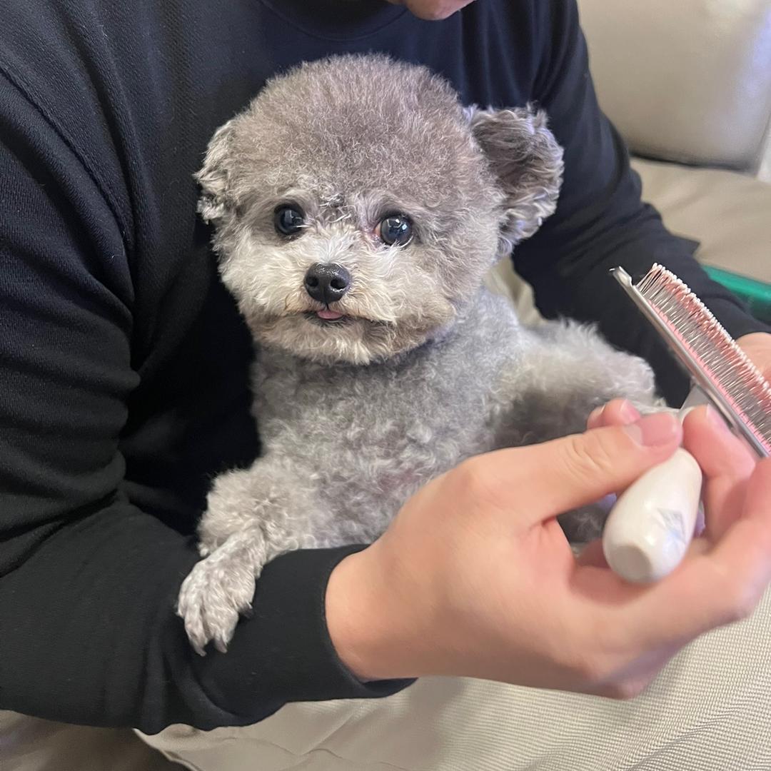 🥰努努是只小臭狗🥳🥳