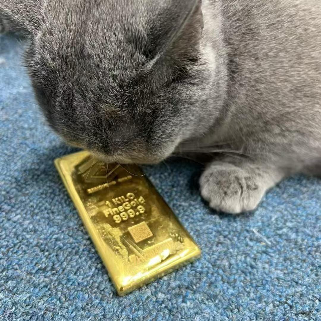 亚体恒力游泳健身/嘉陵店