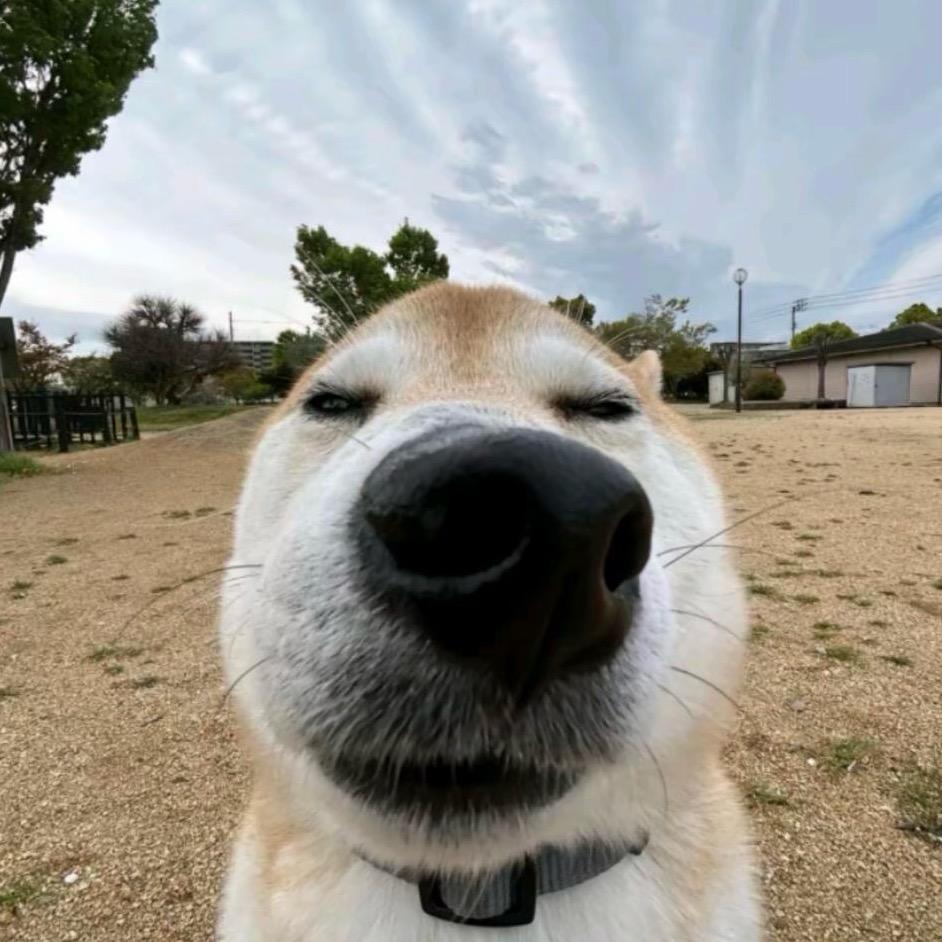 我的发