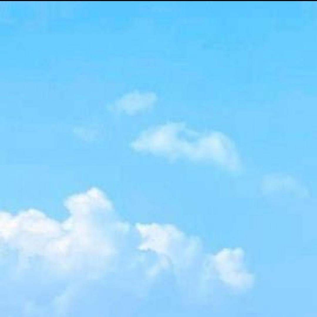 鹏