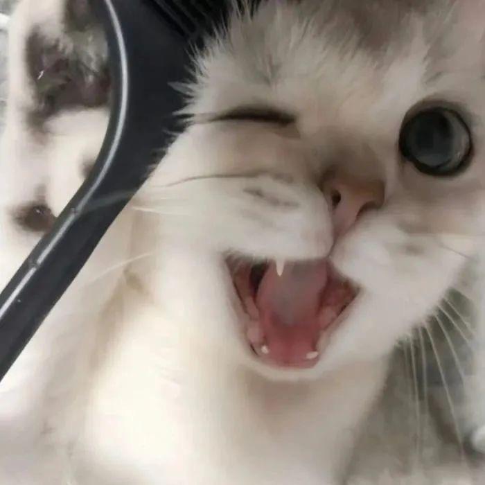 Ttuo