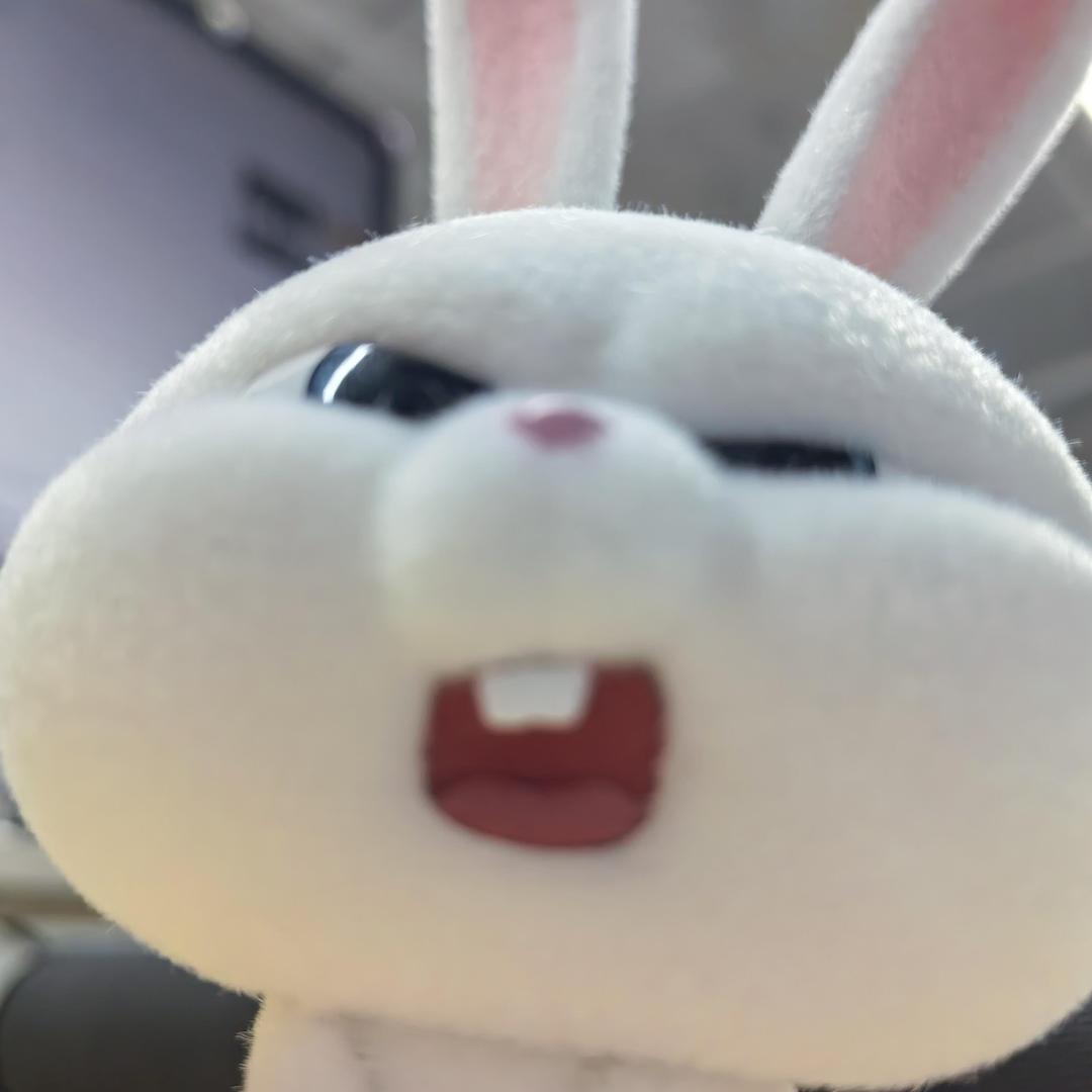 小骨头