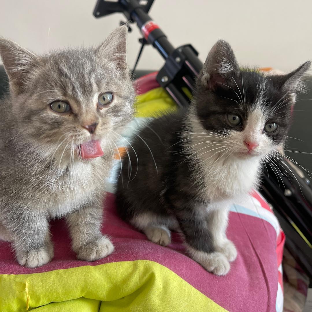 带着缤海去旅行