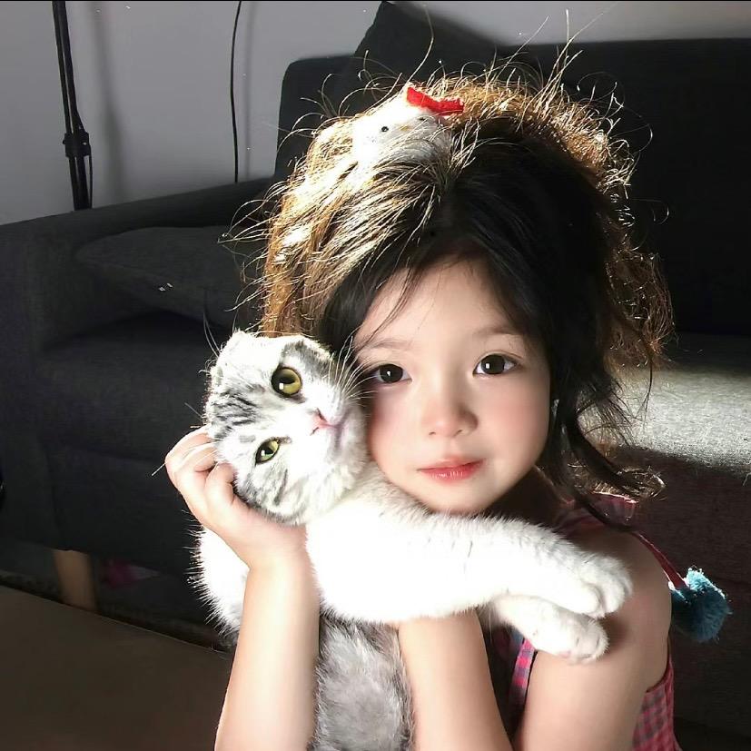 总犯困