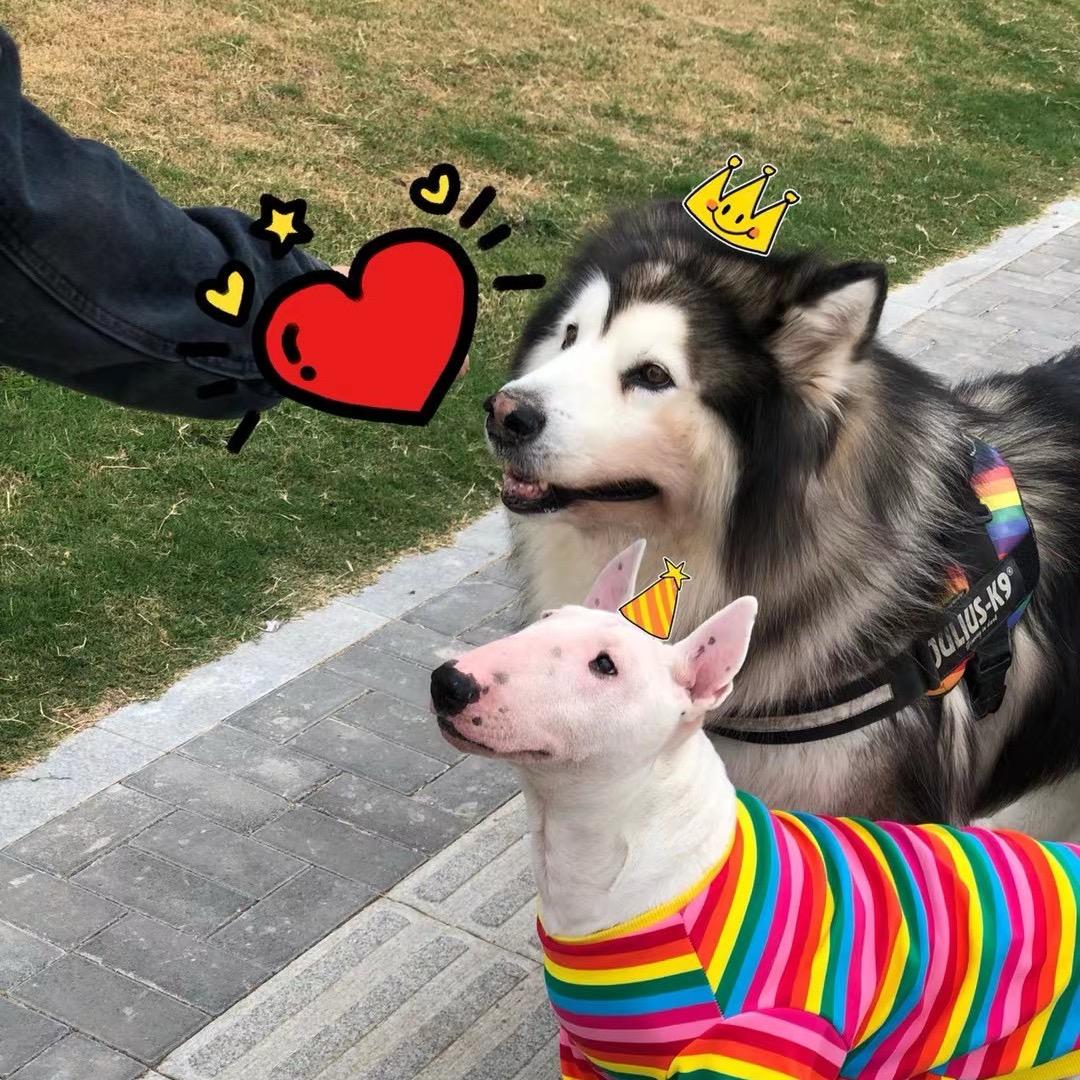 沙老怪的碎碎念💢