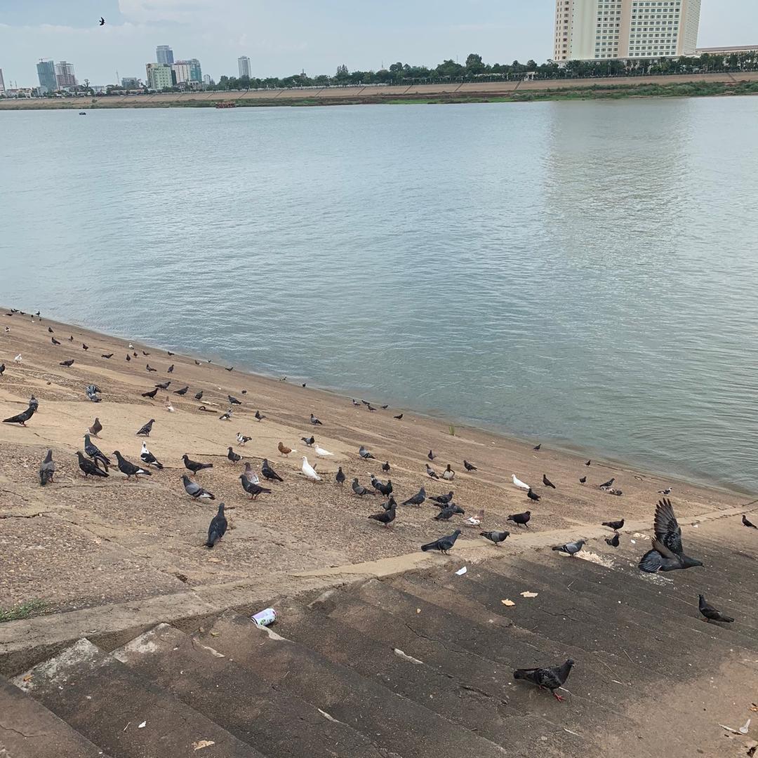 酷图