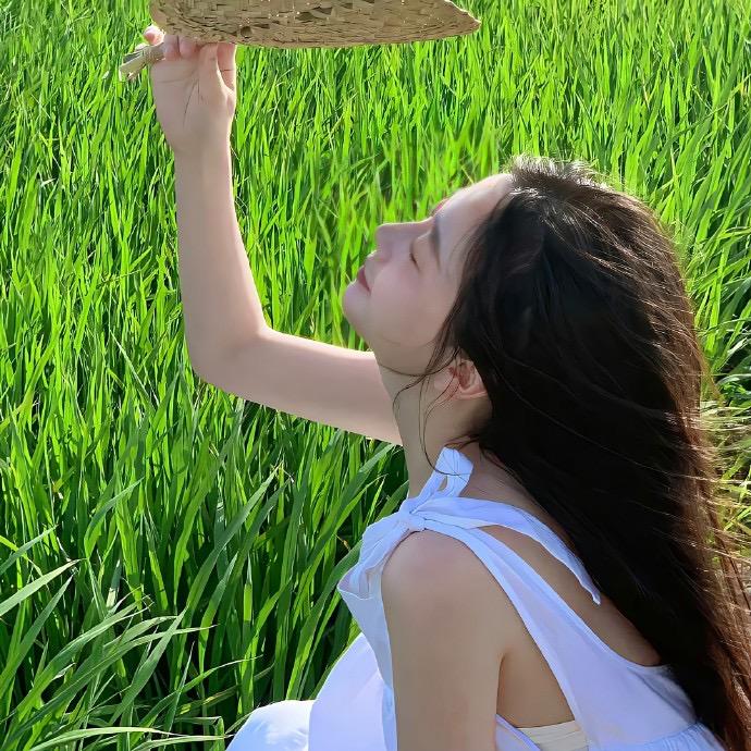 笨蛋小宝