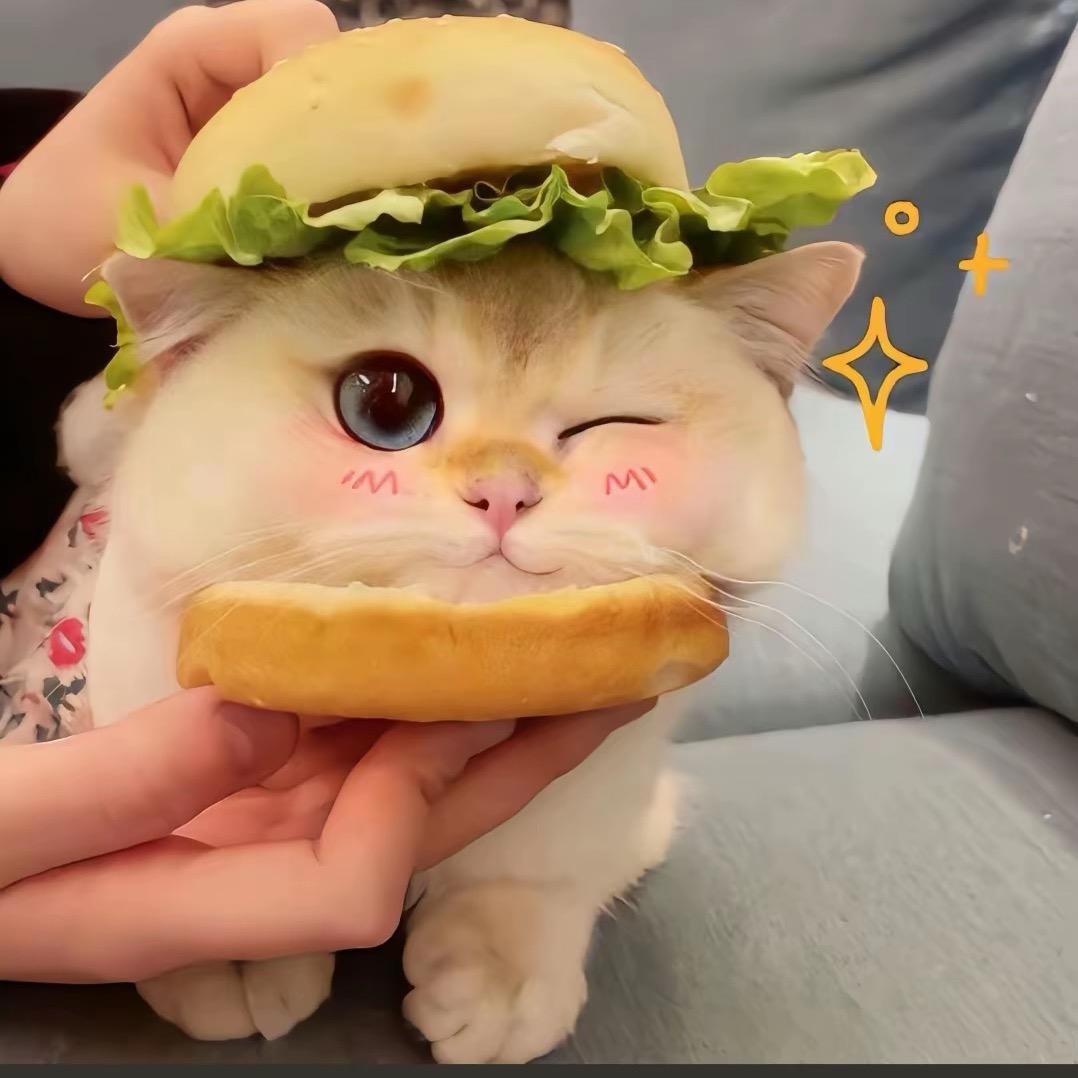 汐语