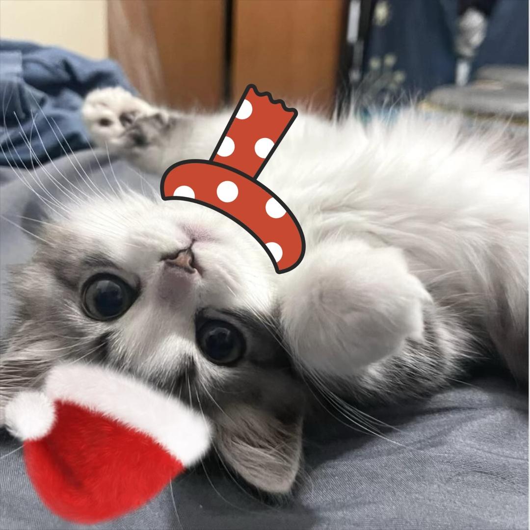 是性感敏感脆弱抑郁集聚一身的小男孩