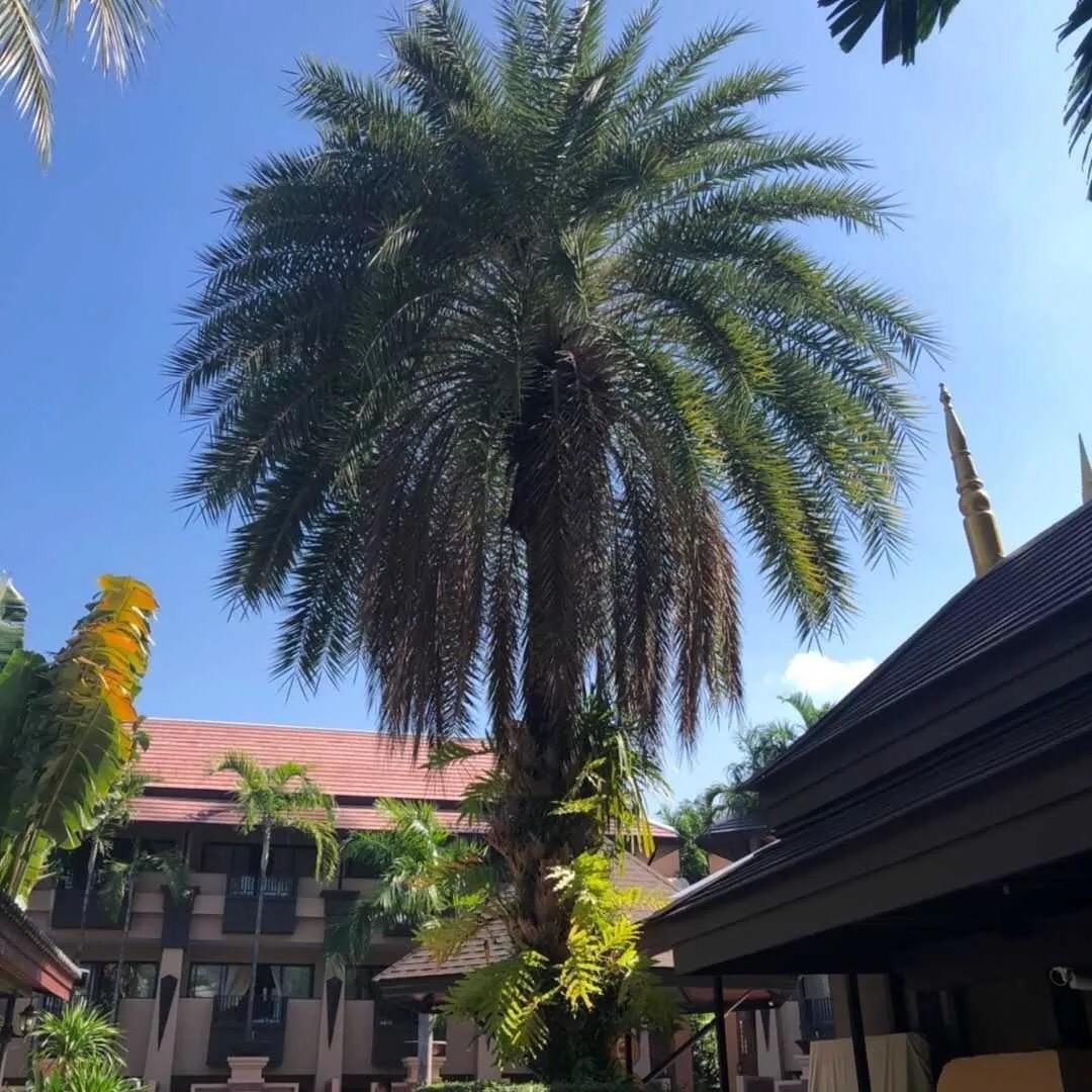 怎么快乐，就怎么嗨