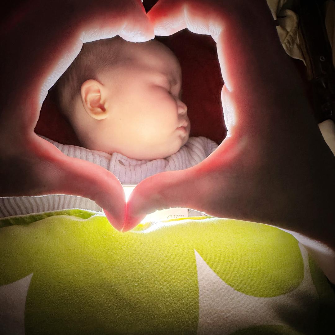 小果冻🍼