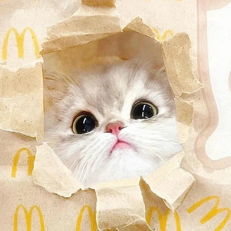 狐丹