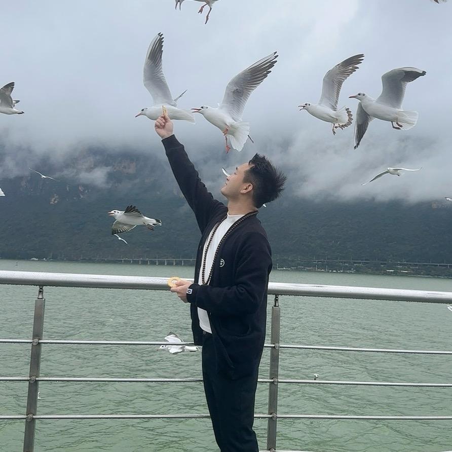 宠物猫赛道（老许有话说）