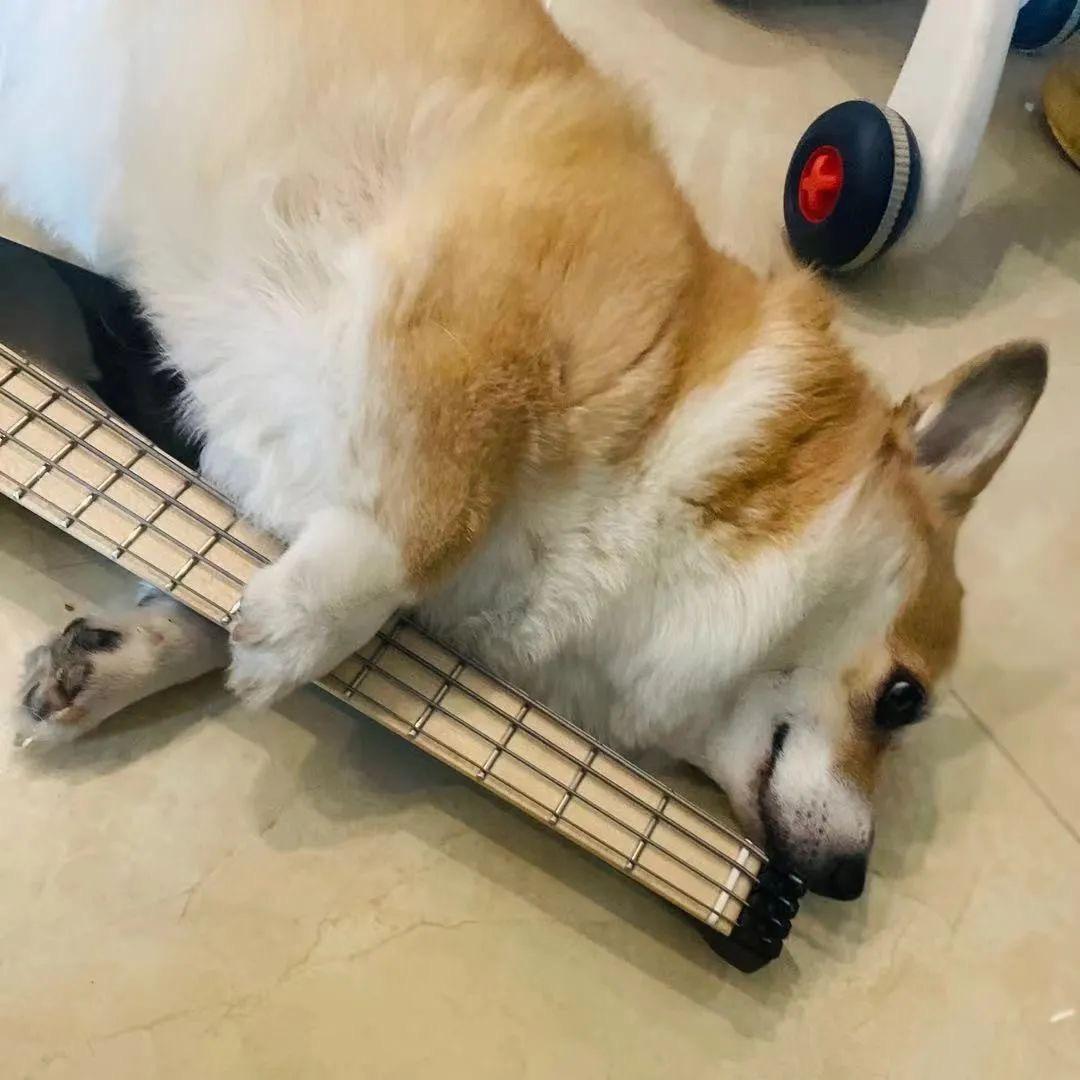 Xin_阿昕