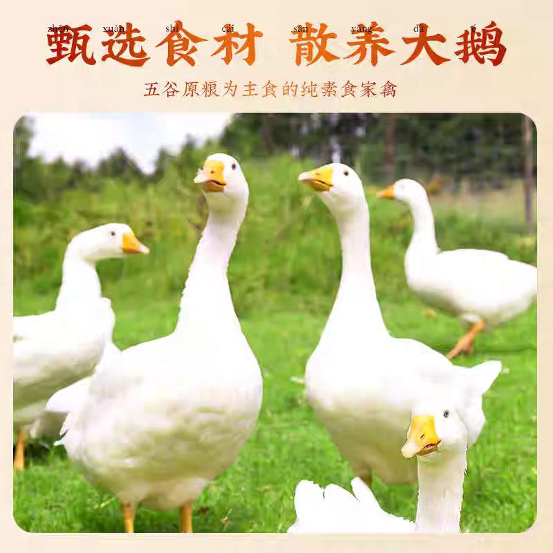 凤涞仪食品甄选