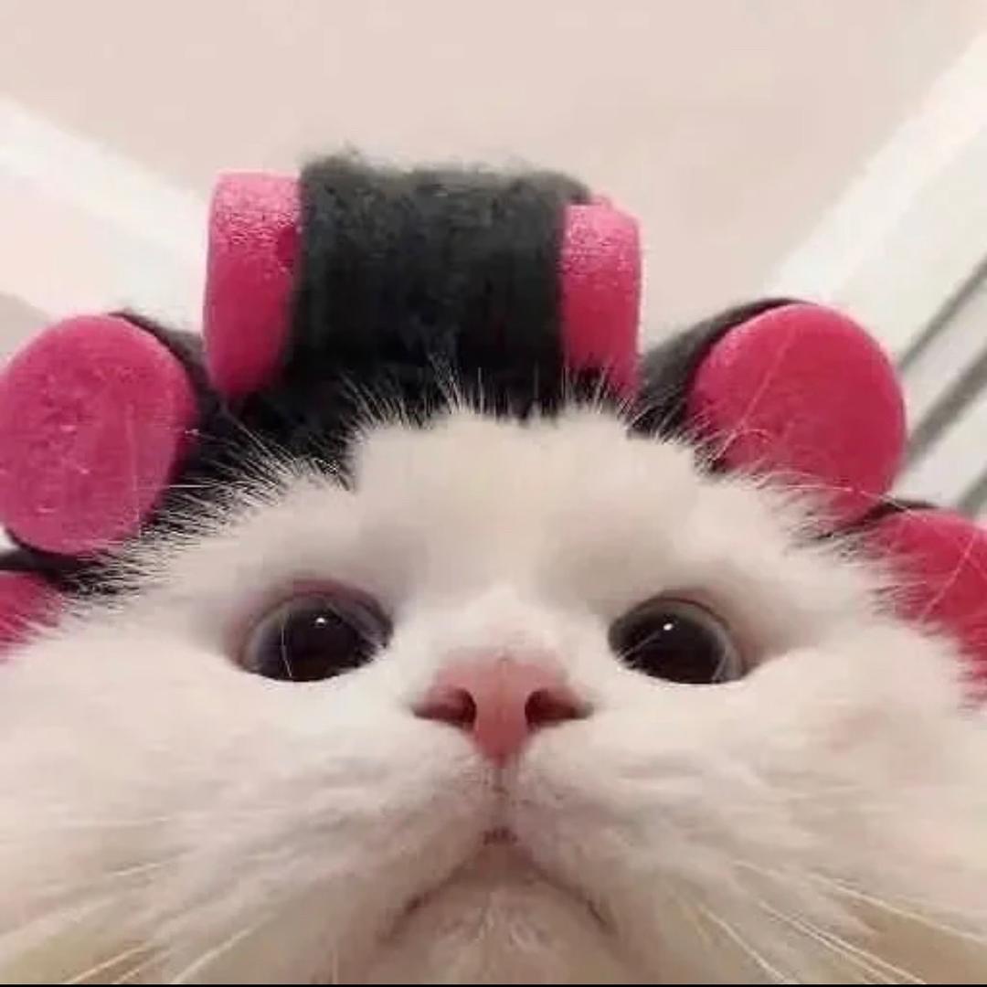 想吃一口泡芙