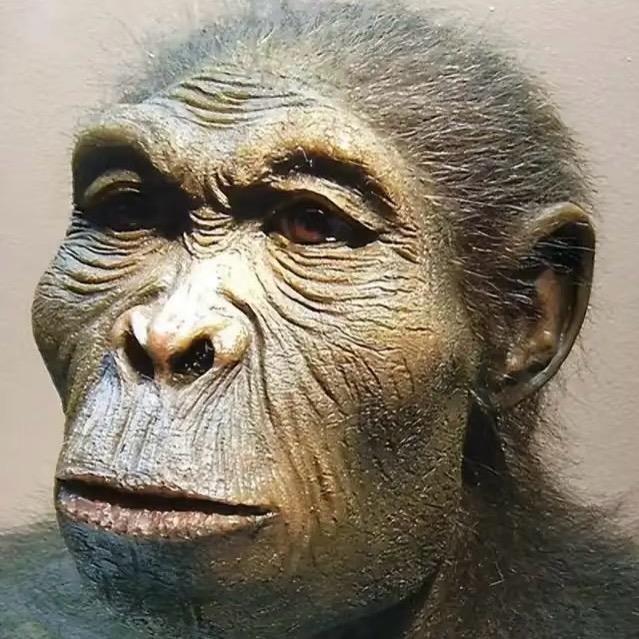✨程小猴🐒