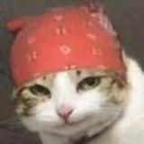 铜锣幼儿园扛把子