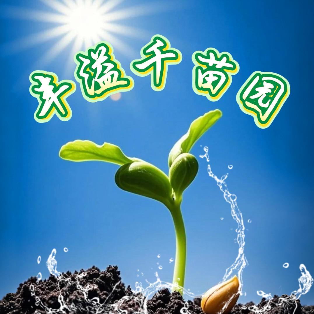 丰溢千苗园