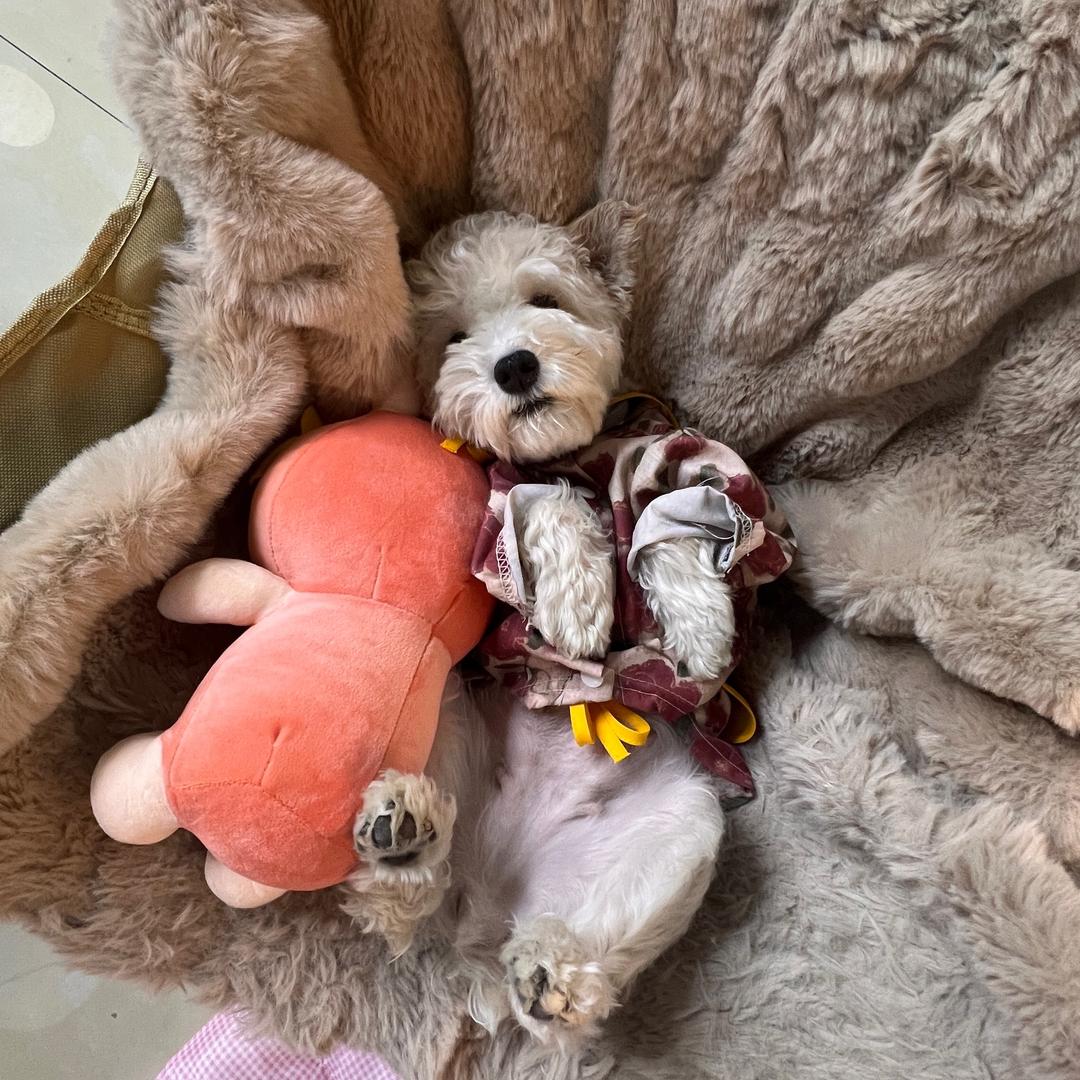 MM💤