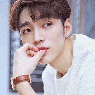 万丈红尘一杯酒