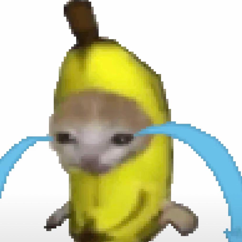 布张脑