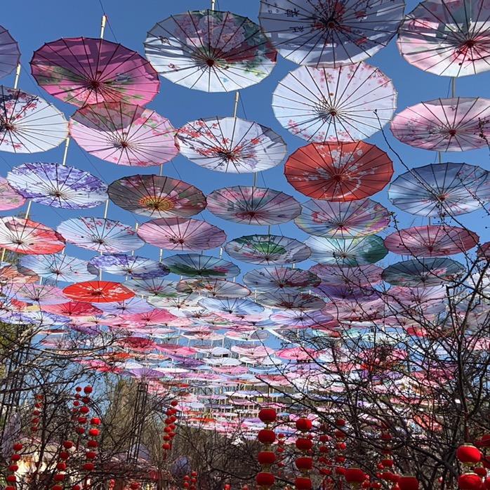 骗子不会演戏！