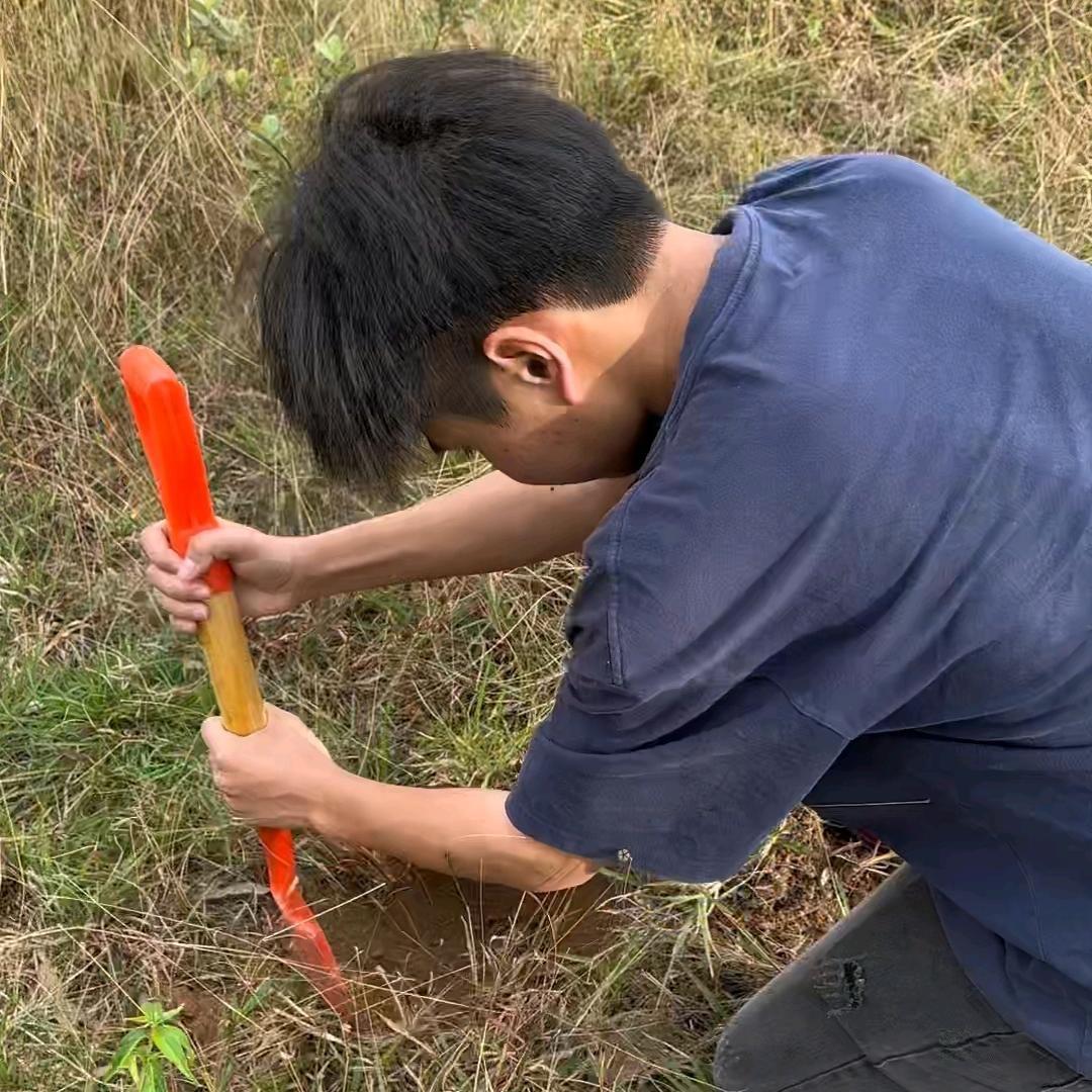 小锋百足蜈蚣