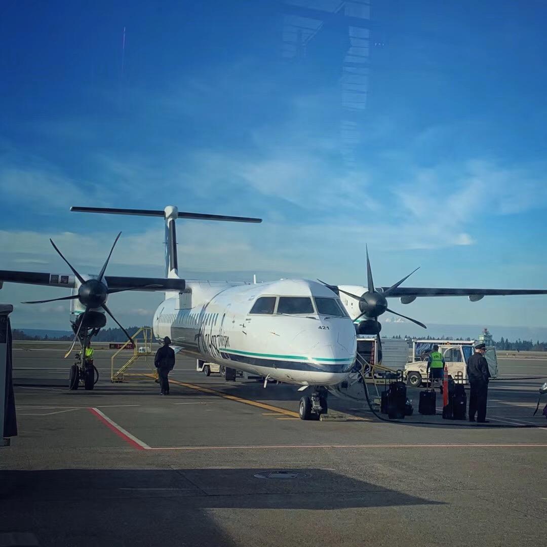 阿兹卡班的麋鹿🦌