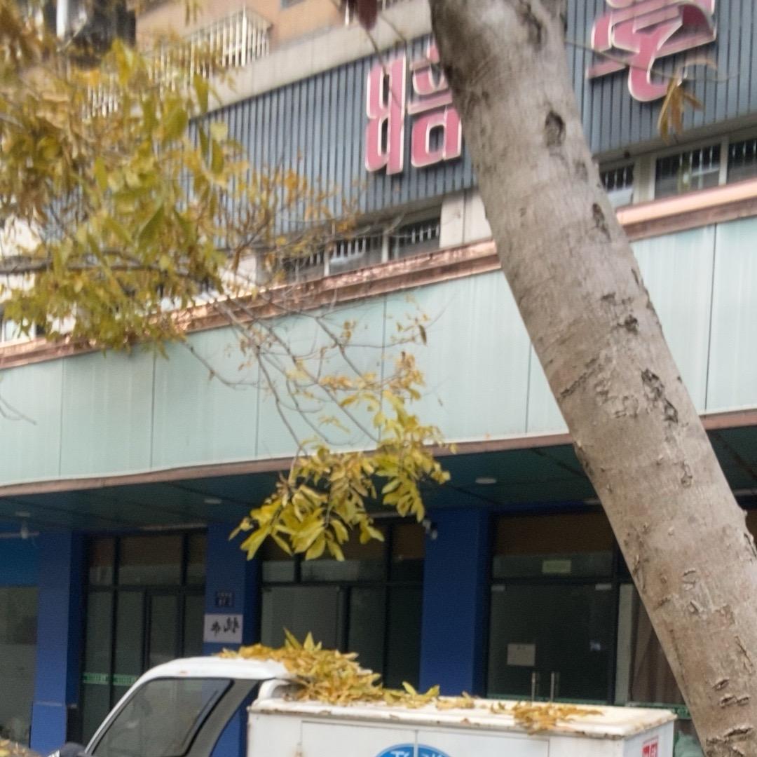 我坡坡g