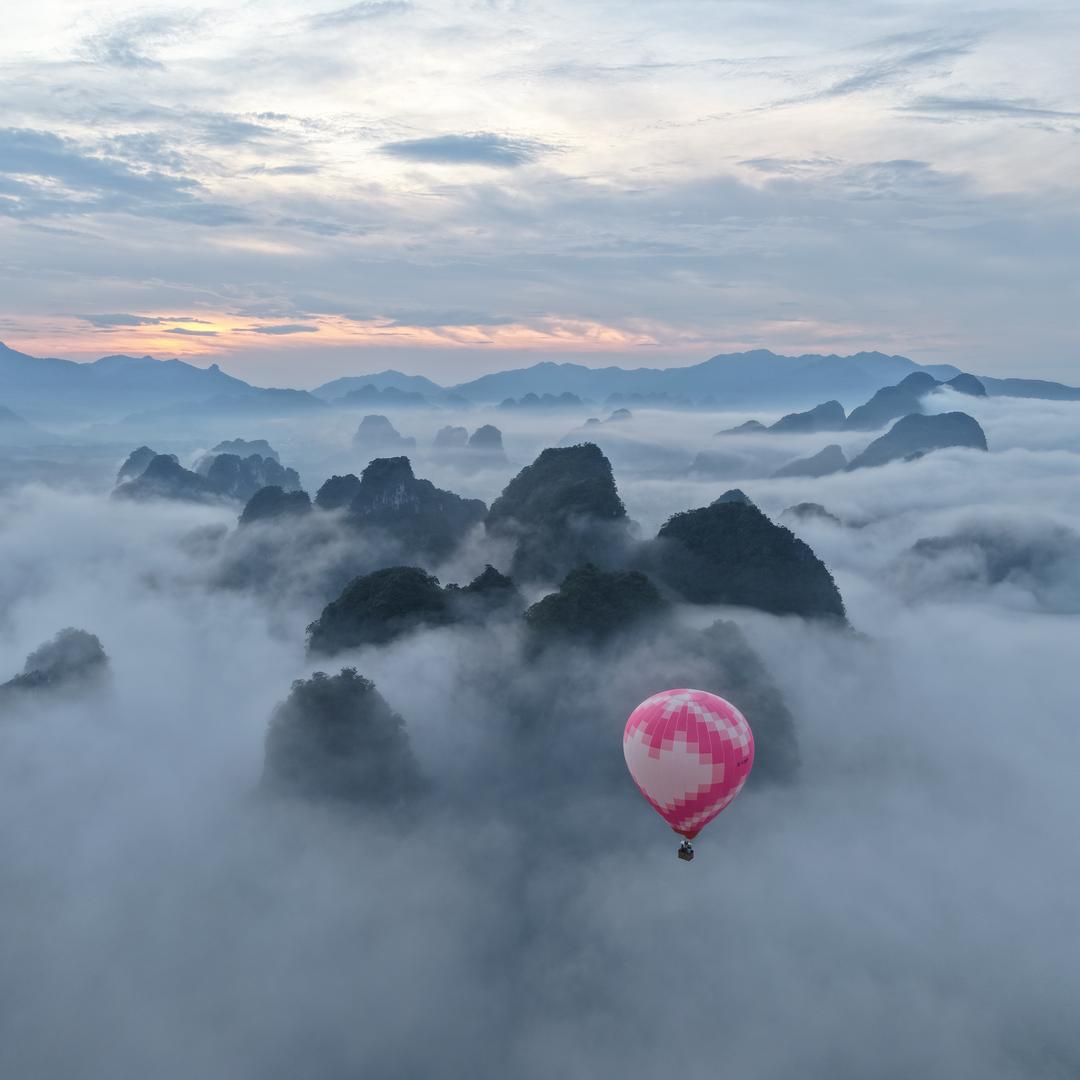 土鲁李