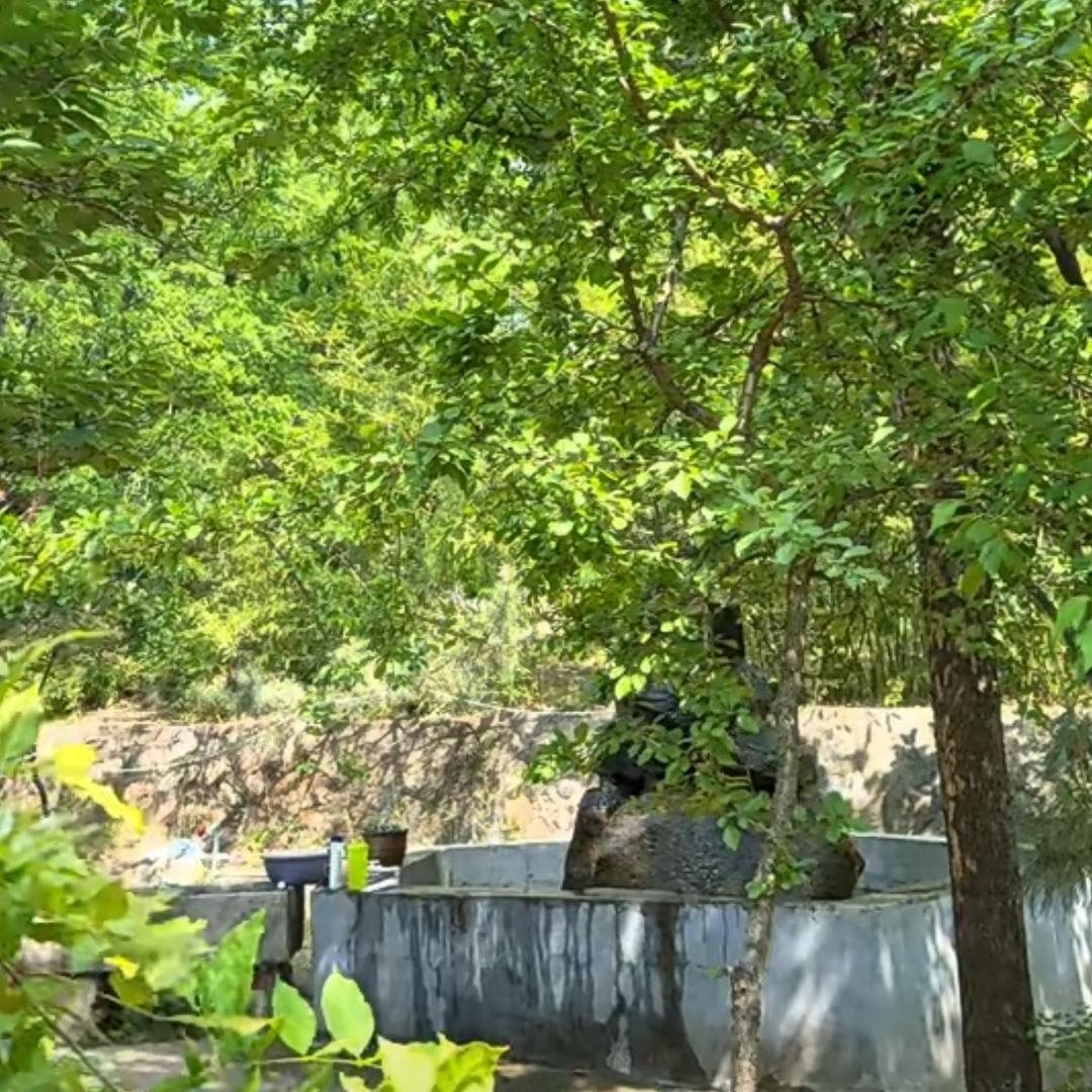 路
