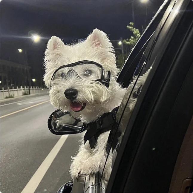 不是lx是你选