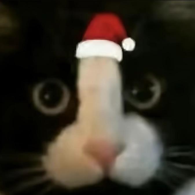 飙