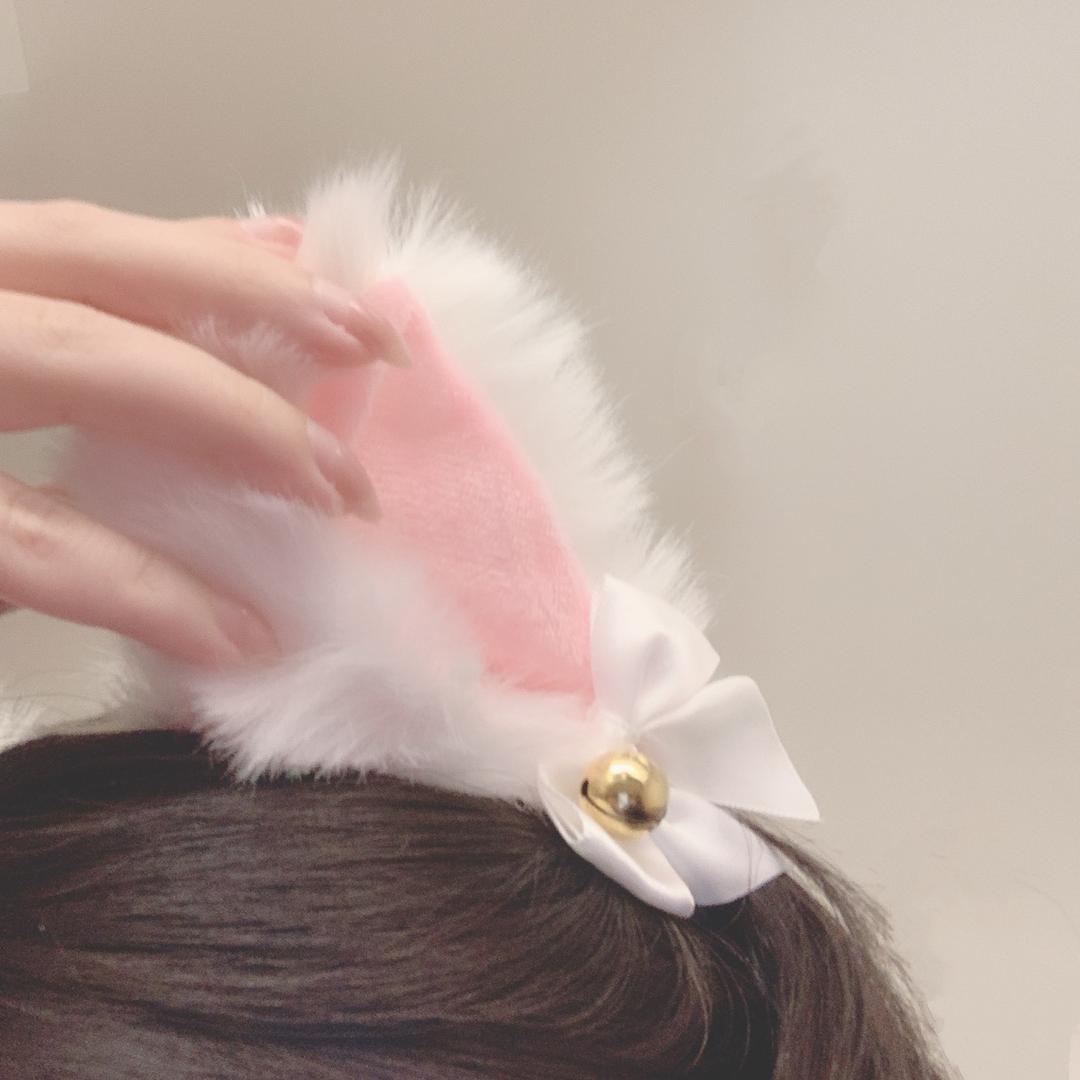 猫咪的耳朵