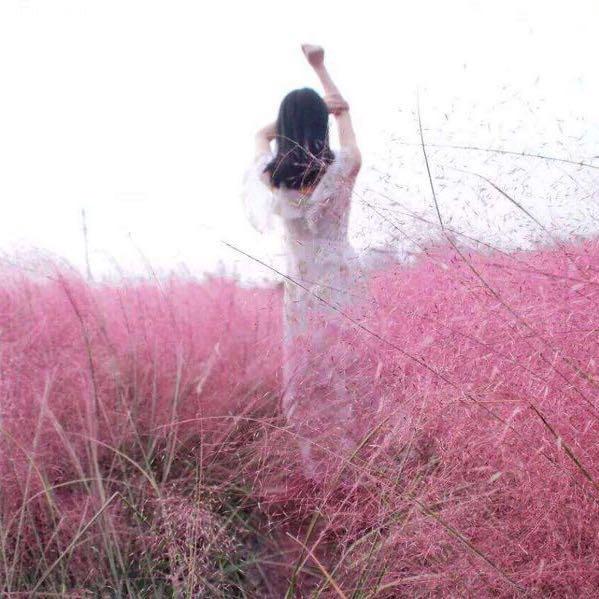 时光等一夏🌵⁴²⁵