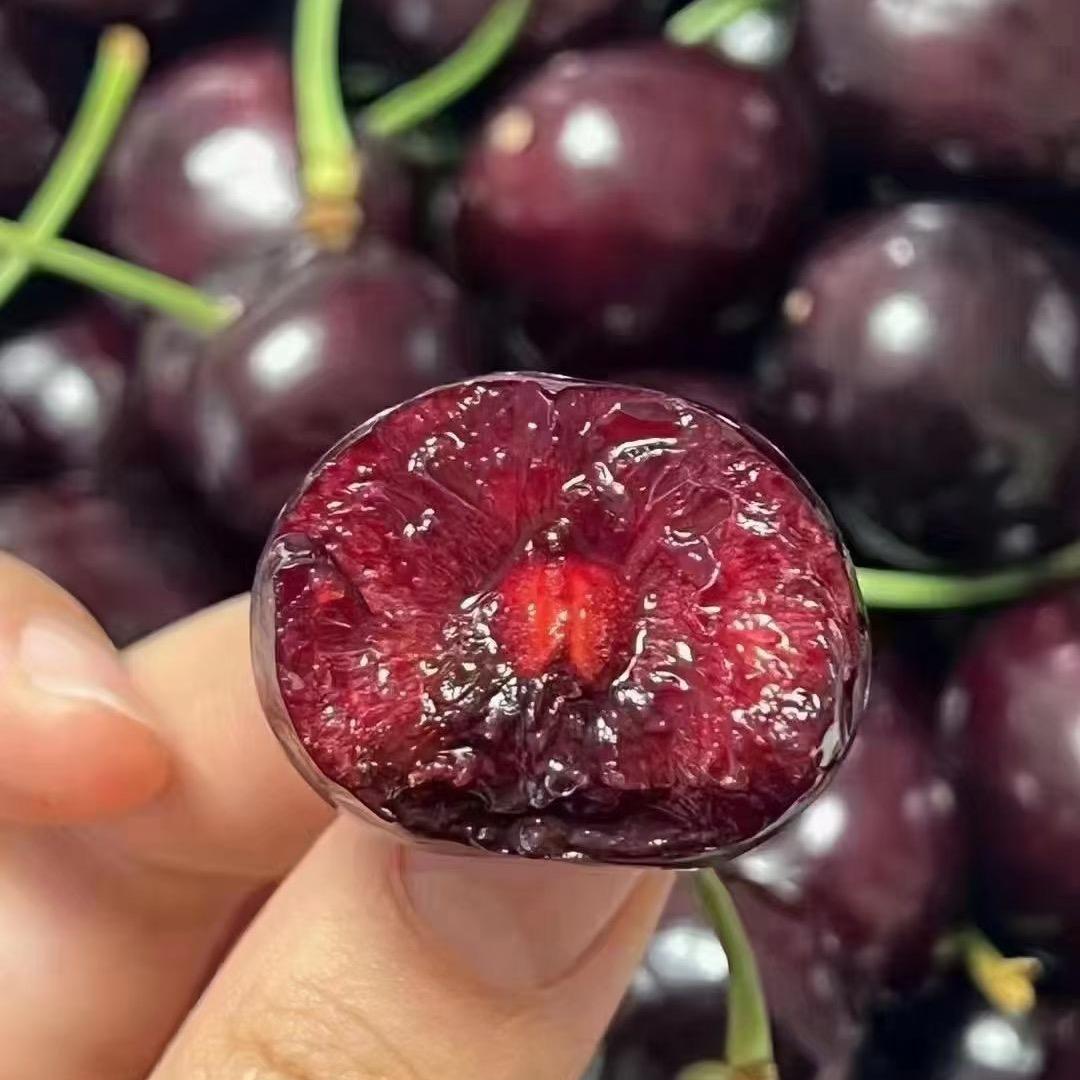 深圳水果专业配送