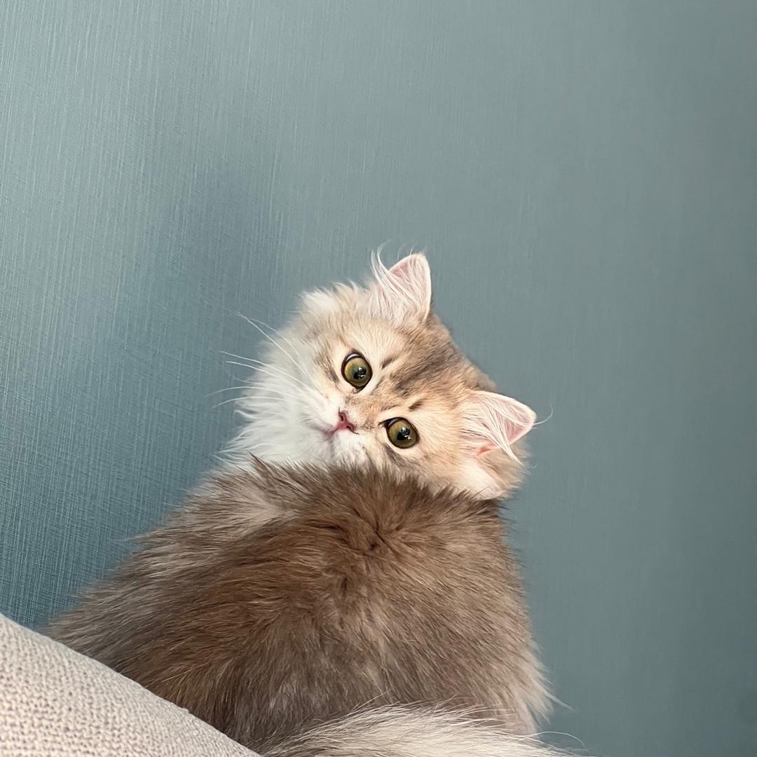 越今朝