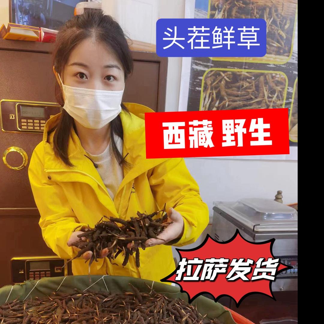 西藏虫草特产批发实体店