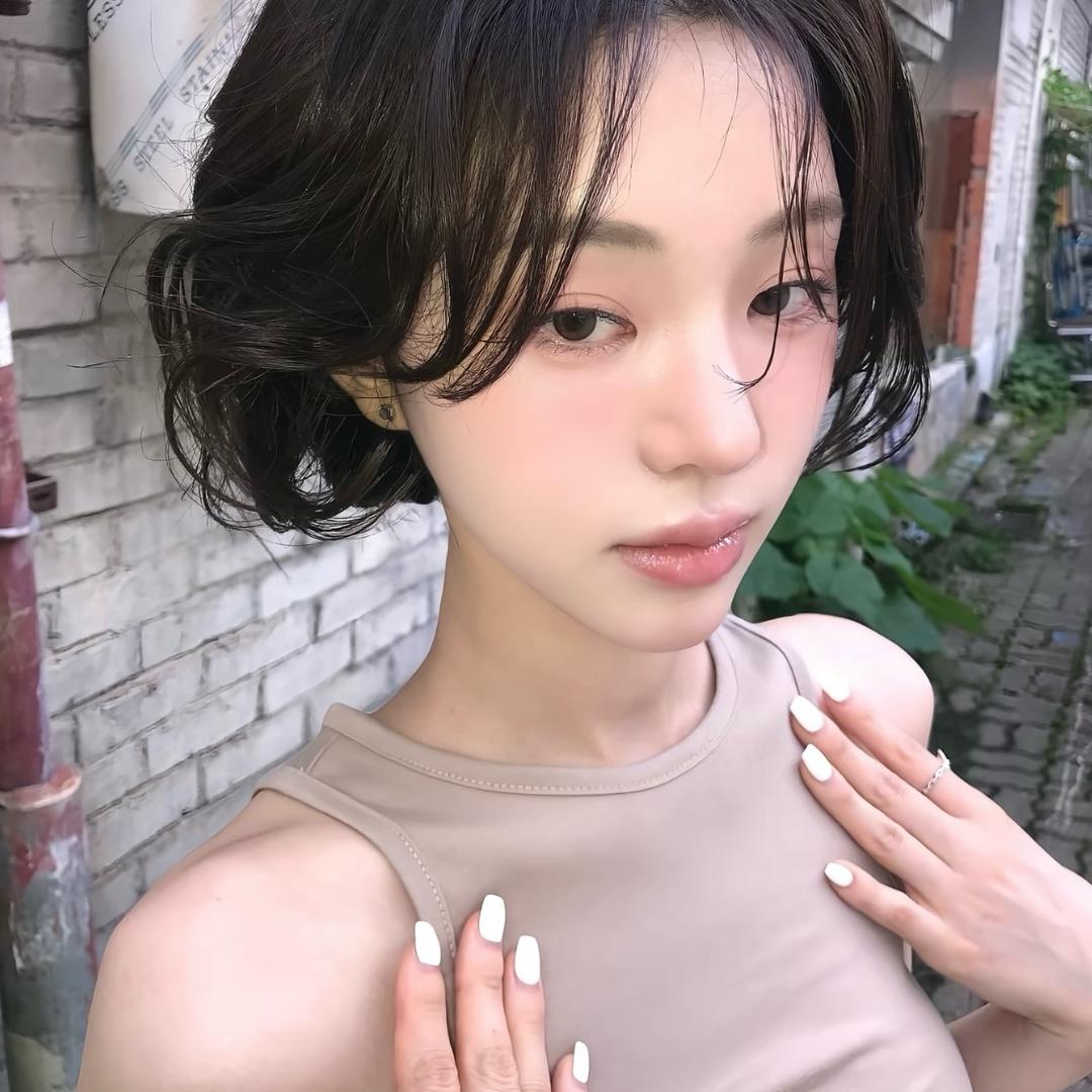 豪猪猪