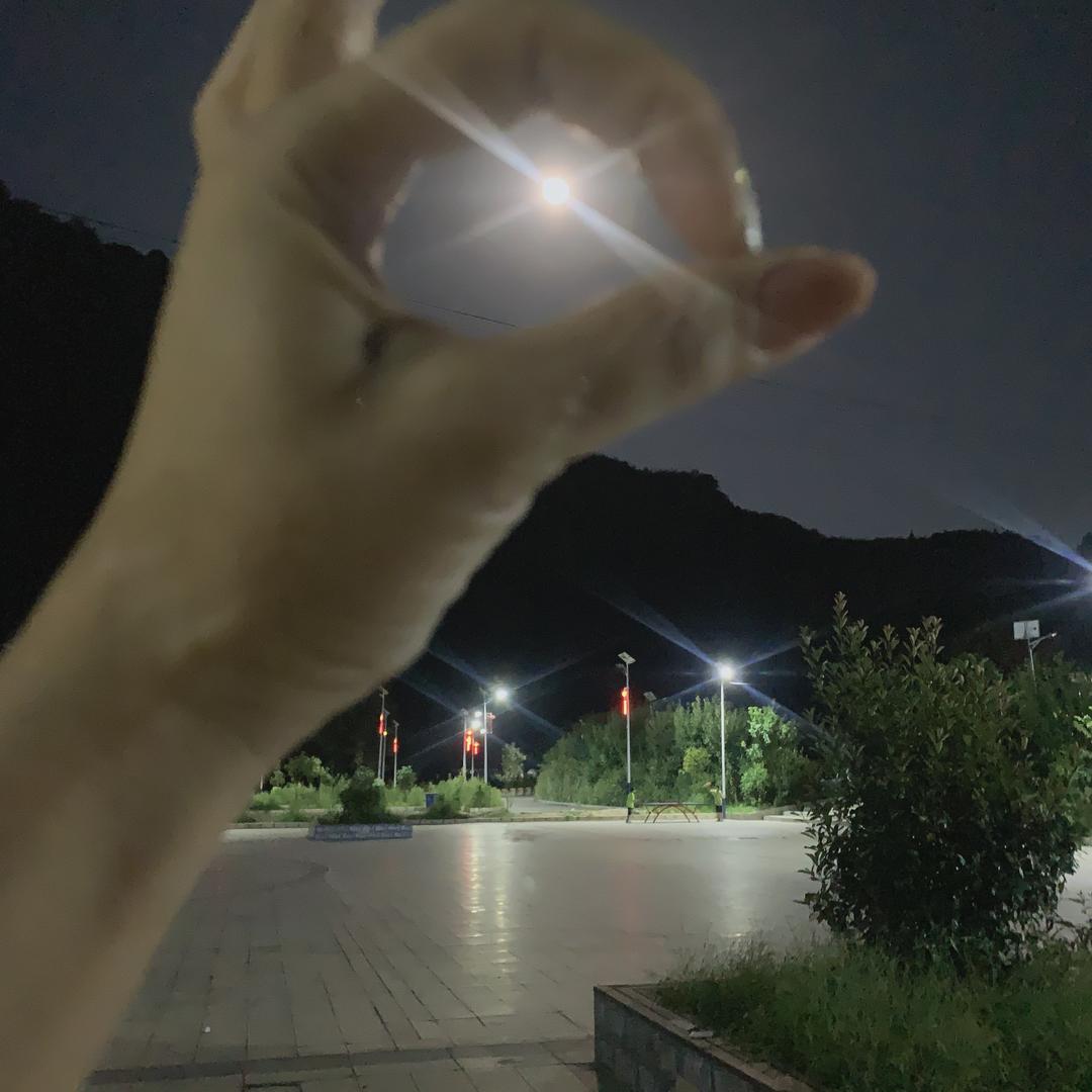 云骨