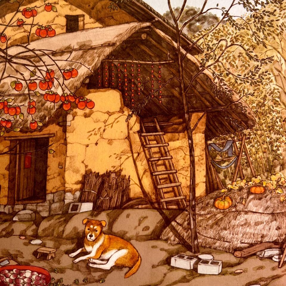 柿子红了｜绘本