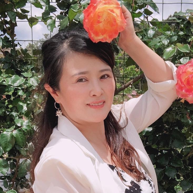 毛毛熊