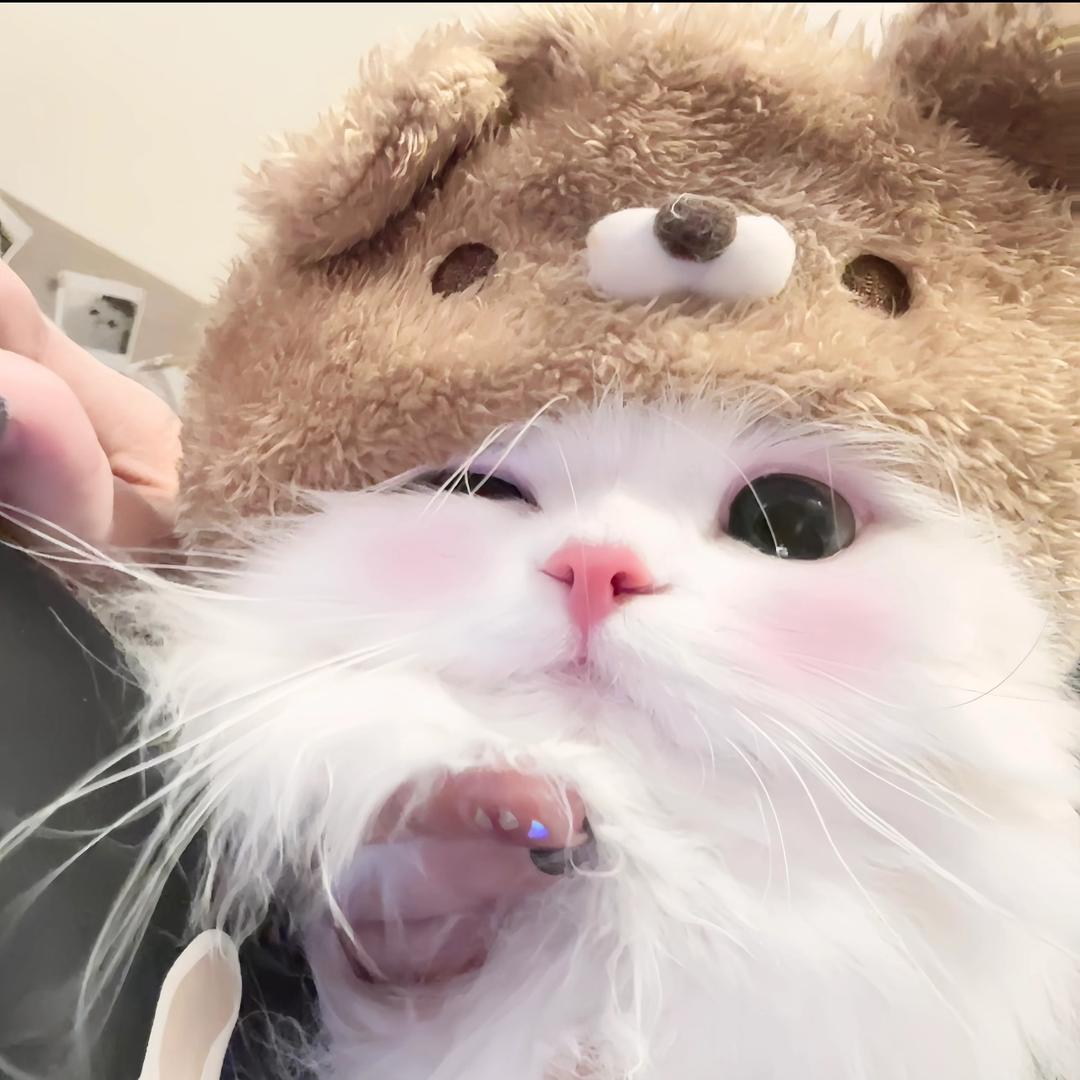 一昂羊羊