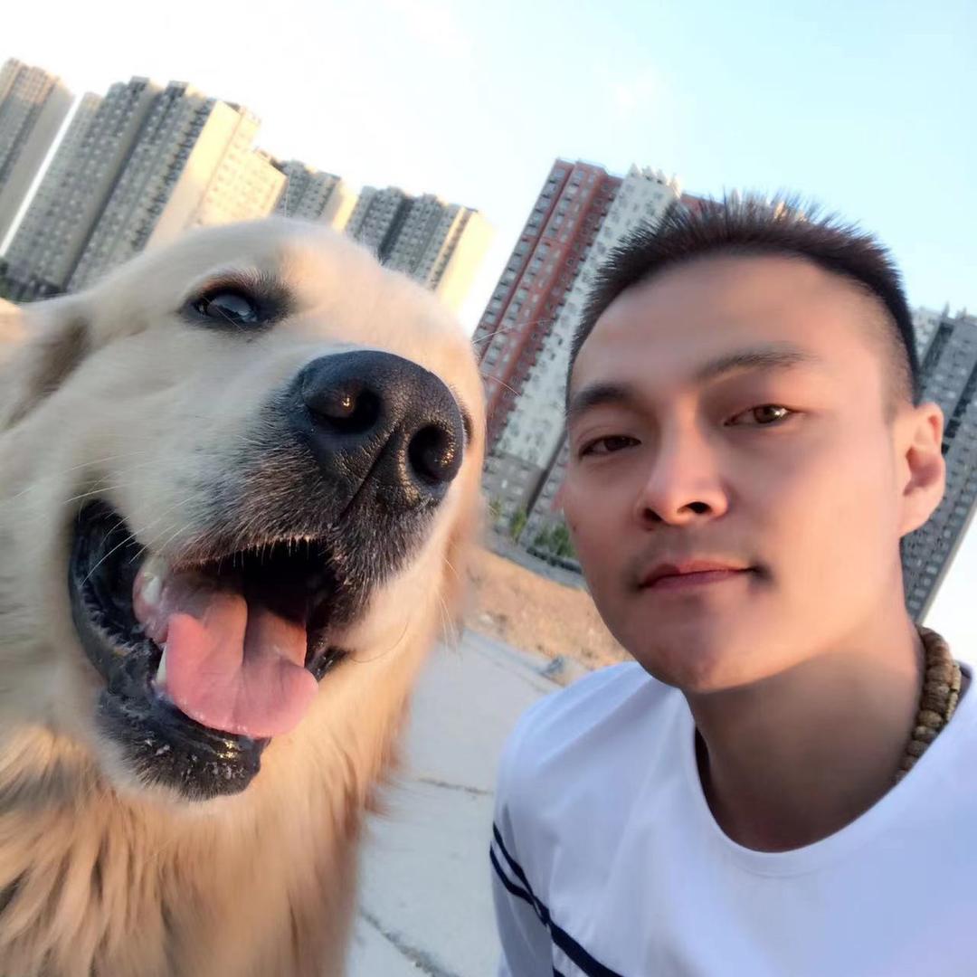 金毛丶大壮