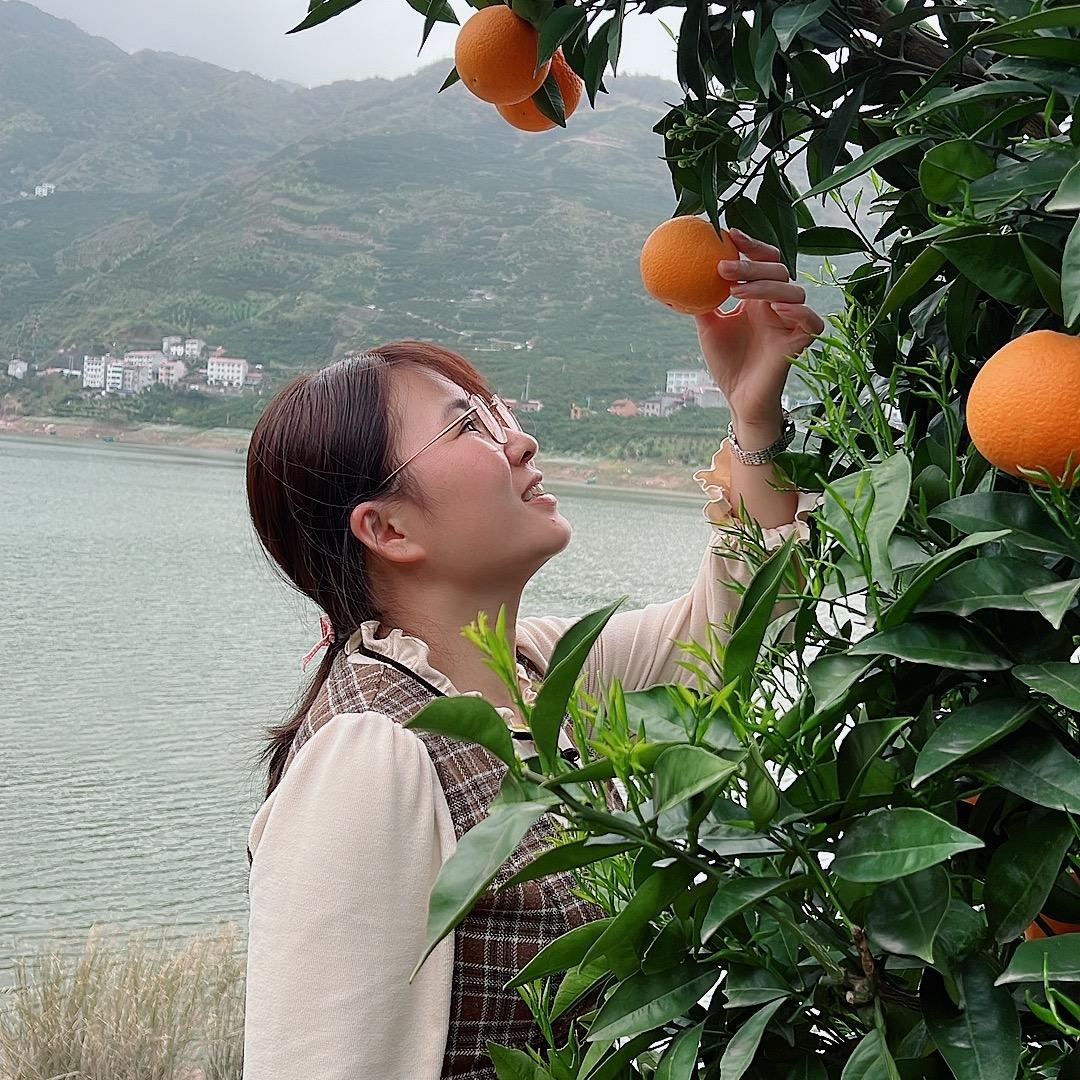 小赵鲜果