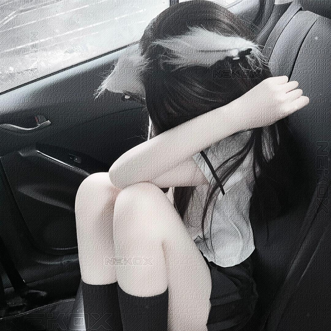 园游会