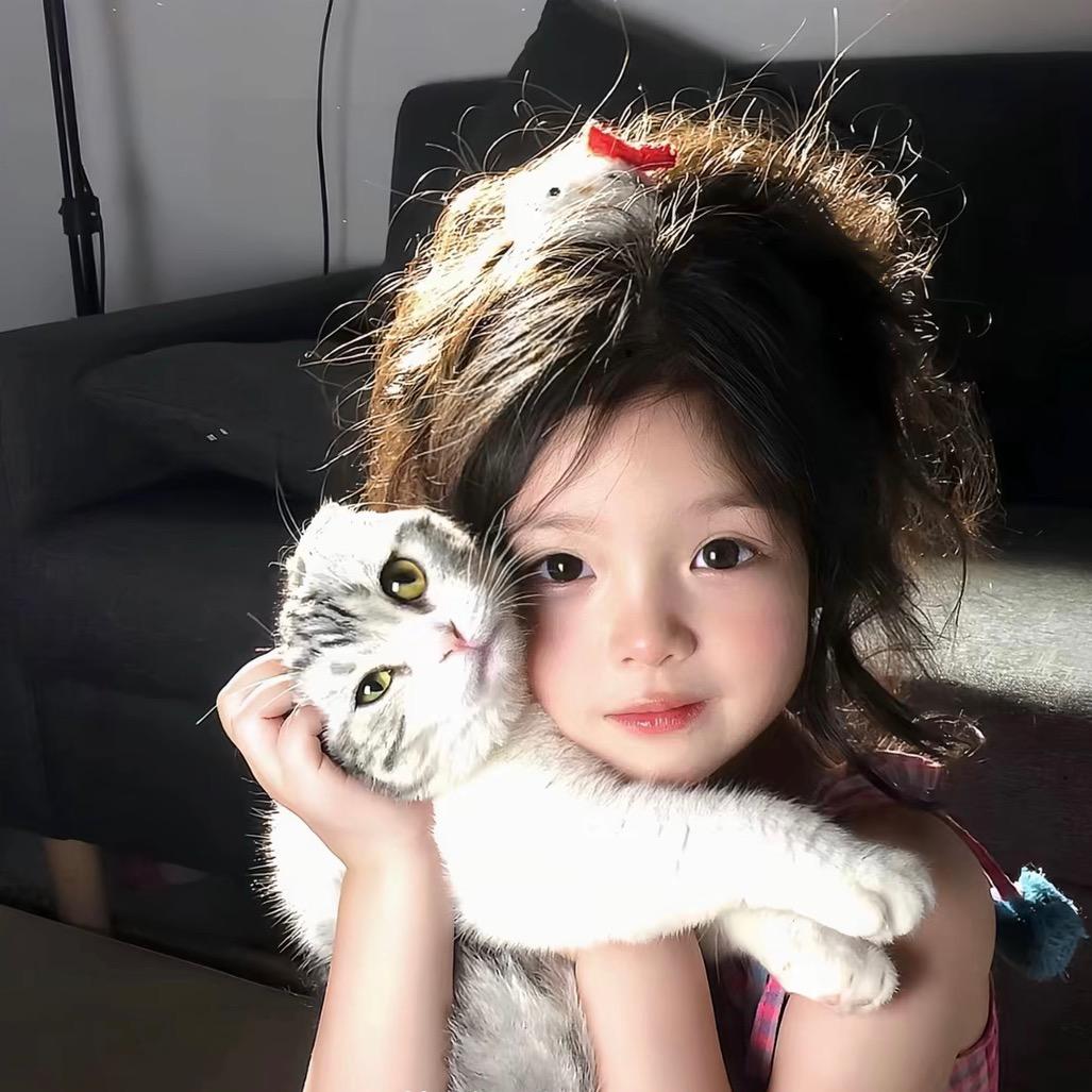 锦鲤plus